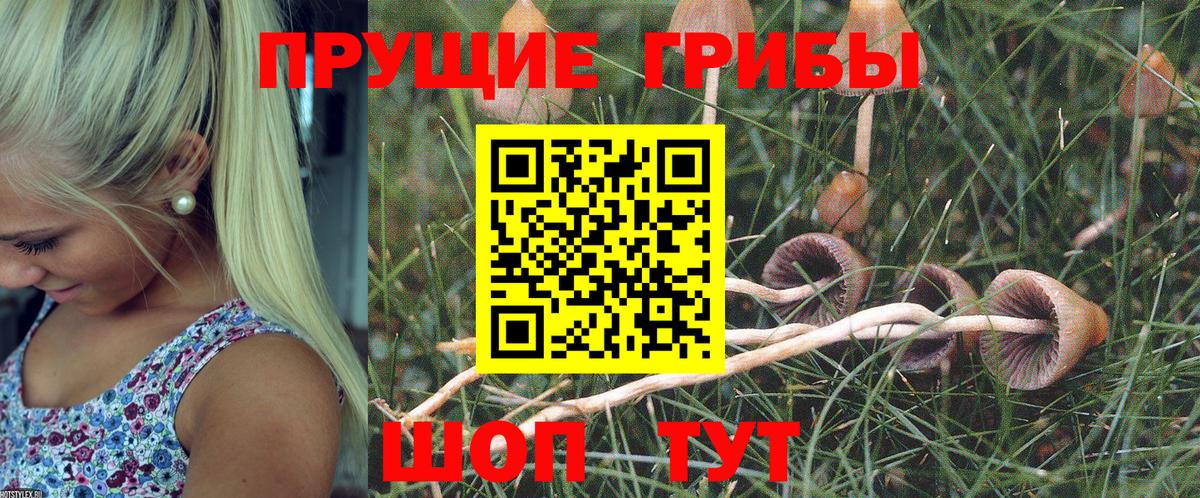 Псилоцибиновые грибы прущие грибы  Галлюциногенные грибы прущие грибы  Вход с VPN  Берёзовский 