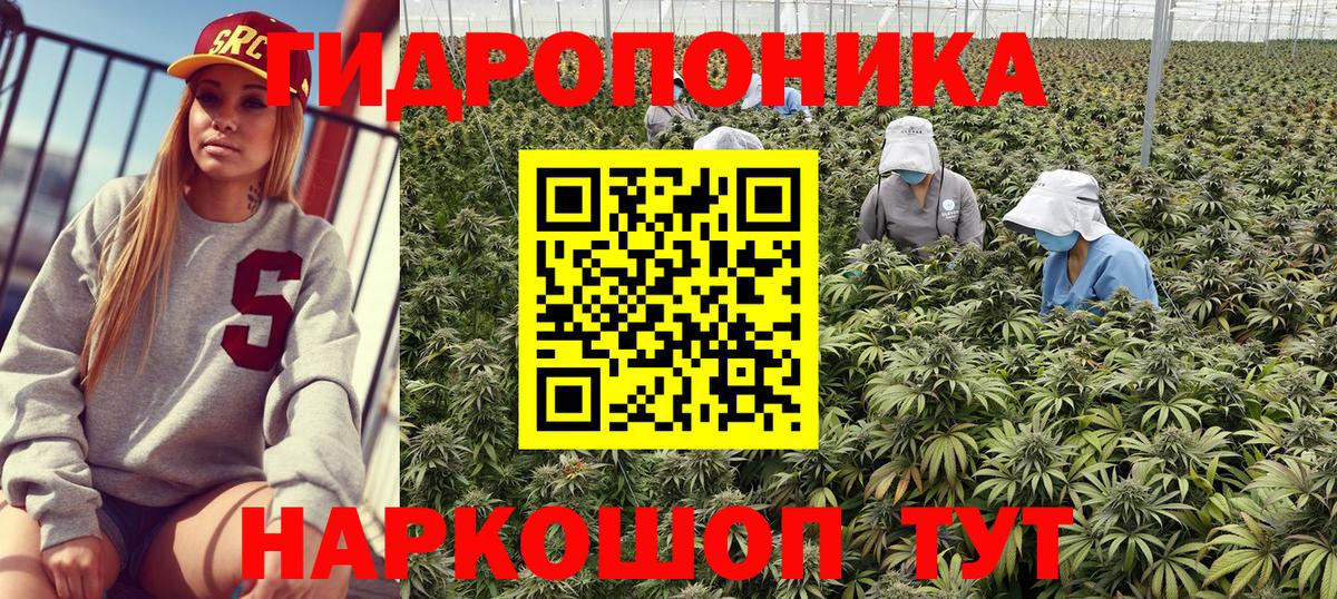 Конопля планчик  Бошки Шишки SATIVA & INDICA  Каннабис LSD WEED  Вход с VPN  Берёзовский 